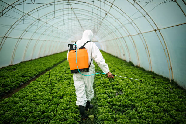 Best Pest Control for Businesses  in Hewitt, NJ