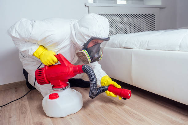 Best Pest Control Near Me  in Hewitt, NJ