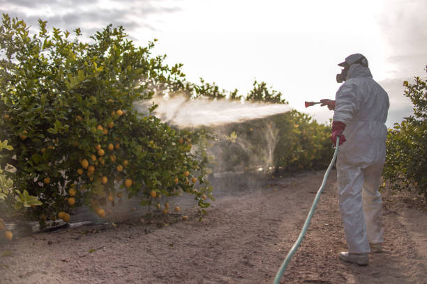 Best Termite Control Services  in Hewitt, NJ