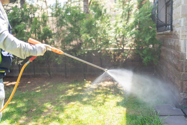 Wasp Removal Services in Hewitt, NJ