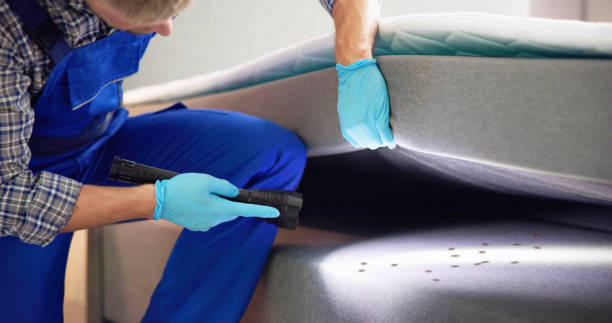 Trusted Hewitt, NJ Pest Control Experts