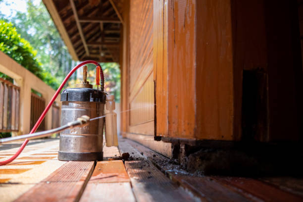 Best Exterminator Services  in Hewitt, NJ