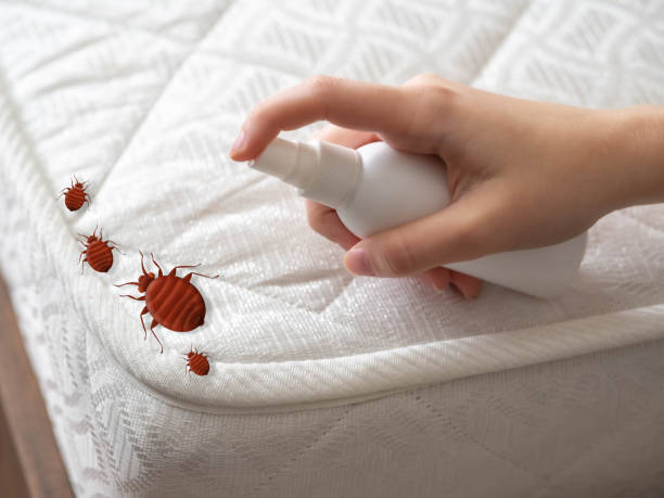 Best Termite Control Services  in Hewitt, NJ