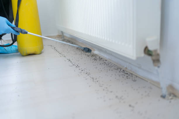 Best Exterminator Services  in Hewitt, NJ