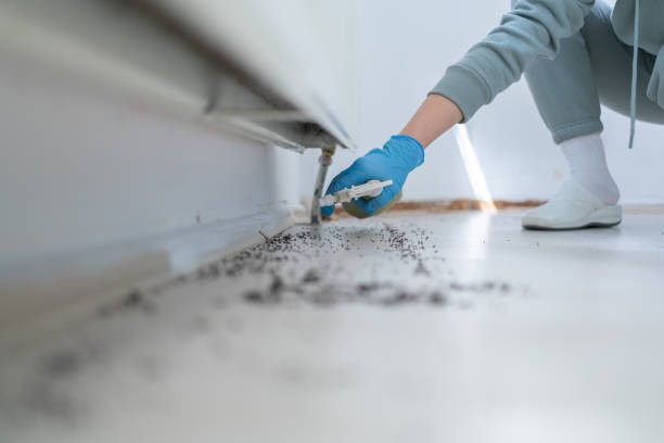 Best Affordable Pest Control Services  in Hewitt, NJ
